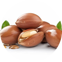 Argan Çekirdeği