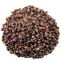 Üzüm Çekirdeği